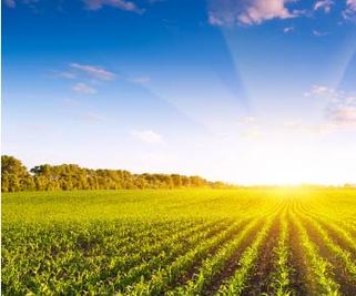 HACCP : identifier les risques à chaque étape