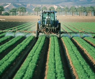 Emballages phytosanitaires vides : les bons gestes