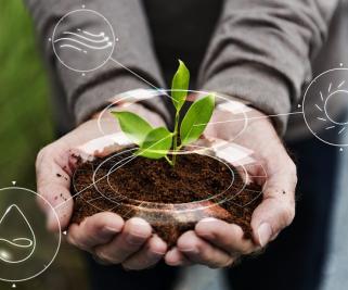 Agriculture de précision : en route vers le numérique !